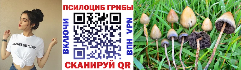 Псилоцибиновые грибы ЛСД  Купить где  Алдан 